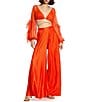 Color:Sunset - Image 3 - Pleated Charmeuse Wide-Leg Pant
