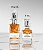 Maison Margiela Scentsorium Ch. 2 Silent Fury Parfum - Image 4
