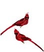 Mark Roberts Cardinal Decor, Box of 6 - Image 1