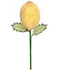 Mark Roberts Christmas Lemon Pick, Box Of 6 - Image 1