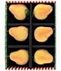 Mark Roberts Christmas Pear Pick, Box of 6 - Image 2