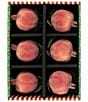 Mark Roberts Christmas Pomegranate Pick, Box of 6 - Image 2