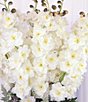 Mark Roberts Delphinium, Set of 12, Color:White - Image 2