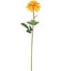 Mark Roberts Floral Dahlia, Boxed Set of 12, Color:Yellow - Image 1