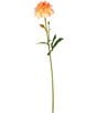 Mark Roberts Floral Dahlia, Boxed Set of 12, Color:Peach - Image 1