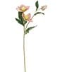 Mark Roberts Helleborusspp Floral, Boxed Set of 12, Color:Pink - Image 1