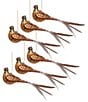 Mark Roberts Holiday Collection 6-Piece Longtail Bird Hanging Ornament Set - Image 2
