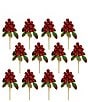 Mark Roberts Pod Berry Cluster Red Pick Set Of 12 - Image 2