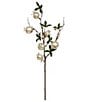 Mark Roberts Pomegranate Spray Set Of 12 - Image 1