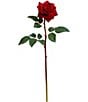 Mark Roberts Prize Rose, Boxed Set of 12, Color:Red - Image 2