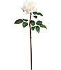 Mark Roberts Prize Rose, Boxed Set of 12, Color:White - Image 2