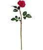 Mark Roberts Tea Rose, Boxed Set of 12, Color:Mavue - Image 1