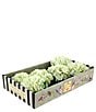 Mark Roberts Vibrant Hydrangea Natural Touch Stems, Boxed Set of 6 - Image 3