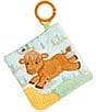 Mary Hetty Highland Cow Crinkle 6x6#double; Teether - Image 1