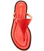 Color:Spiced Coral - Image 5 - Daniella Leather Flat Thong Sandals