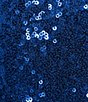 Color:Sky Blue - Image 4 - Sequin V-Neck Criss Cross Back Side Slit Long Dress