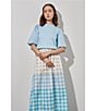 Color:Dew Blue/Haze/Limestone/White - Image 5 - Cotton Poplin Color Block Windowpane Plaid Print Side Zip Pocketed A-Line Midi Skirt