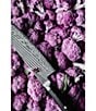 Miyabi Kaizen II 8#double; Gyutoh Chef's Knife - Image 2