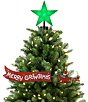 Mr. Christmas LED Lighted Grinch Sleigh Animated Tree Topper with Banner - Image 1