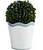 Mud Pie Garden Collection Scalloped Boxwood Topiary Pot, Color:Green - Image 1
