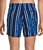 Murano Palm Stripe 5#double; Cabana Swim Trunks - Image 2