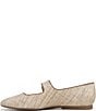 Naturalizer Cosmic Raffia Mary Jane Flats - Image 5