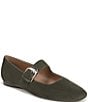 Naturalizer Cosmic Suede Mary Jane Flats - Image 1
