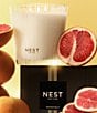 NEST New York undefined, 00000000__20576430_03_ai - undefined