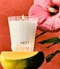 NEST New York Something Tropical Classic Candle, 8.1 oz. - Image 3