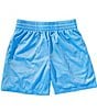 Nike Big Boys Dri-FIT Mesh Shorts - Image 1