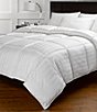 Color:White - Image 1 - Lightweight Warmth Down Comforter Duvet Insert