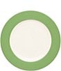 Color:Apple - Image 1 - Colorwave Rim Dinner Plate