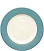 Color:Turquoise - Image 1 - Colorwave Rim Dinner Plate