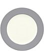 Color:Slate - Image 1 - Colorwave Rim Dinner Plate