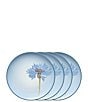 Color:Blue - Image 1 - Colorwave Blue Cornflower Stoneware Accent Salad Plates, Set of 4