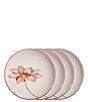 Color:Raspberry - Image 2 - Colorwave Raspberry Clematis Accent/Luncheon Floral Plates, Set of 4