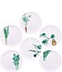 Color:White - Image 1 - Kyoka Shunsai Collection Set of 6 Assorted Salad Plates
