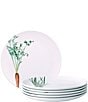Color:White - Image 2 - Kyoka Shunsai Collection Set of 6 Assorted Salad Plates