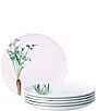 Noritake Kyoka Shunsai Collection Assorted Salad Plates, Set of 6, Color:White - Image 2