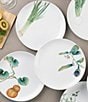 Color:White - Image 3 - Kyoka Shunsai Collection Set of 6 Assorted Salad Plates