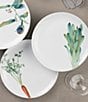 Color:White - Image 4 - Kyoka Shunsai Collection Set of 6 Assorted Salad Plates