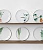 Noritake Kyoka Shunsai Collection Assorted Salad Plates, Set of 6, Color:White - Image 7