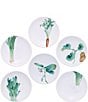 Color:White - Image 2 - Kyoka Shunsai Collection Set of 6 Small Plates