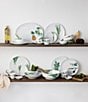 Color:White - Image 6 - Kyoka Shunsai Collection Set of 6 Small Plates