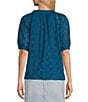 Color:Coast - Image 2 - By Westbound Button Front Elbow Puff Sleeve Y-Neck Ruffle Raglan Top