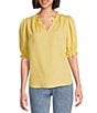 Nurture Petite Size Elbow Sleeve V-Neck Top, Color:First Rays - Image 1