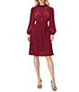 Oleg Cassini Long Sleeve Pleated Dress - Image 1