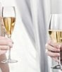 Color:Clear - Image 3 - More Crystal Champagne Flutes, Set Of 4