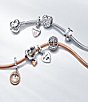 Pandora Double Heart Split Dangle Charm - Image 4