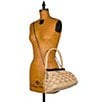Color:Raffia Straw Natural - Image 5 - Ferrara Frame Raffia Straw Crossbody Shoulder Bag